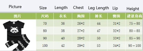 Boys Racoon 2Pieces Set - Glide Goods LLC