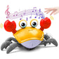 Sea Musical Baby Toys - Glide Goods LLC