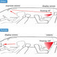 Monitor Baby Car - Glide Goods LLC