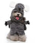 Pet Products Clothing - Glide Goods LLC