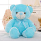 LED Teddy Bear - Glide Goods LLC