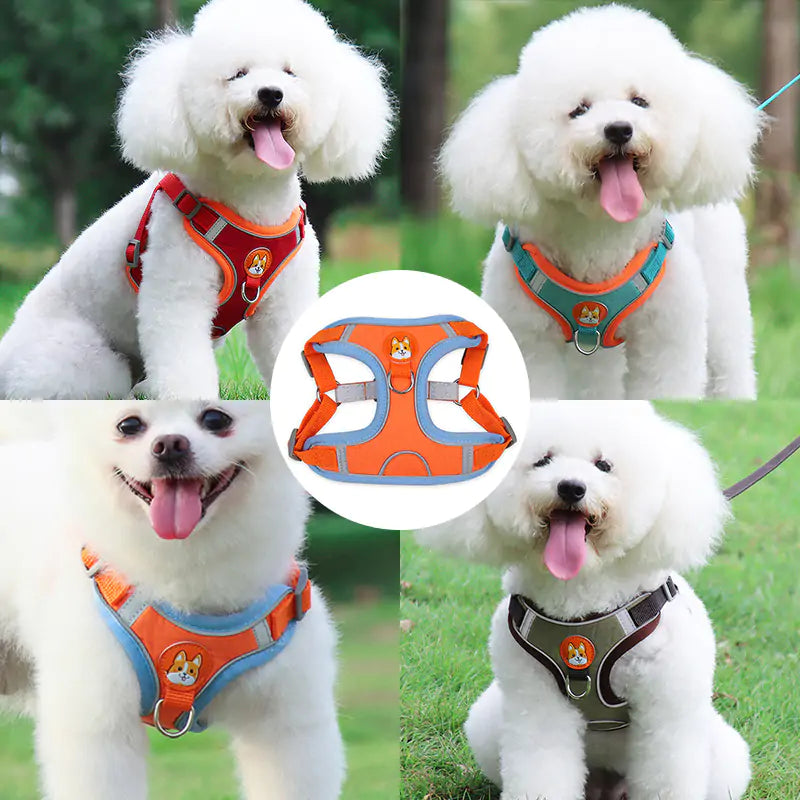 Reflective Pet Harness And Leash Set - Glide Goods LLC