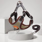Reflective Pet Harness And Leash Set - Glide Goods LLC