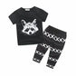 Boys Racoon 2Pieces Set - Glide Goods LLC