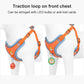 Reflective Pet Harness And Leash Set - Glide Goods LLC