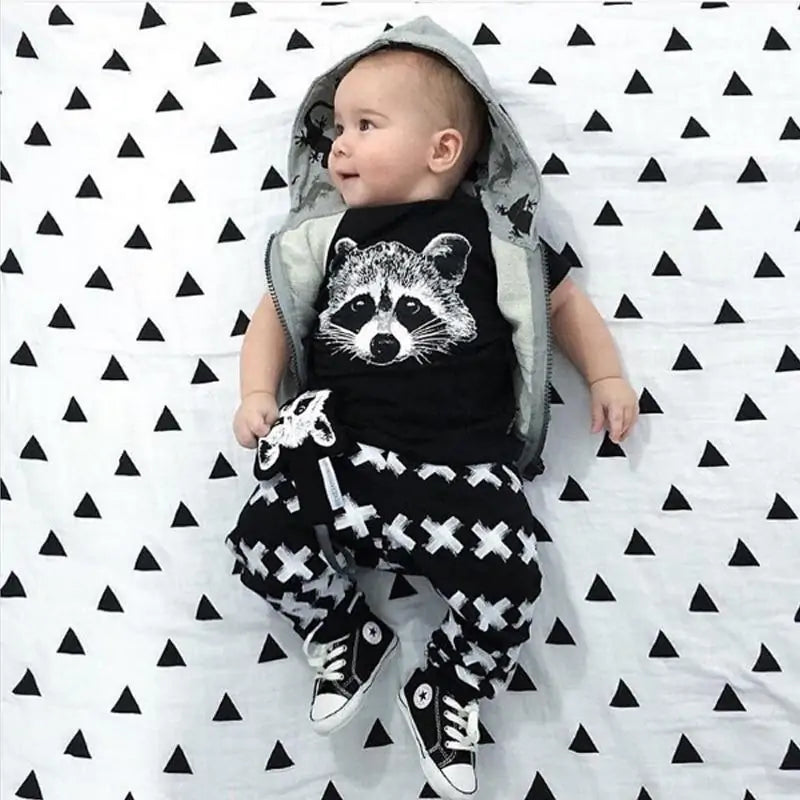 Boys Racoon 2Pieces Set - Glide Goods LLC